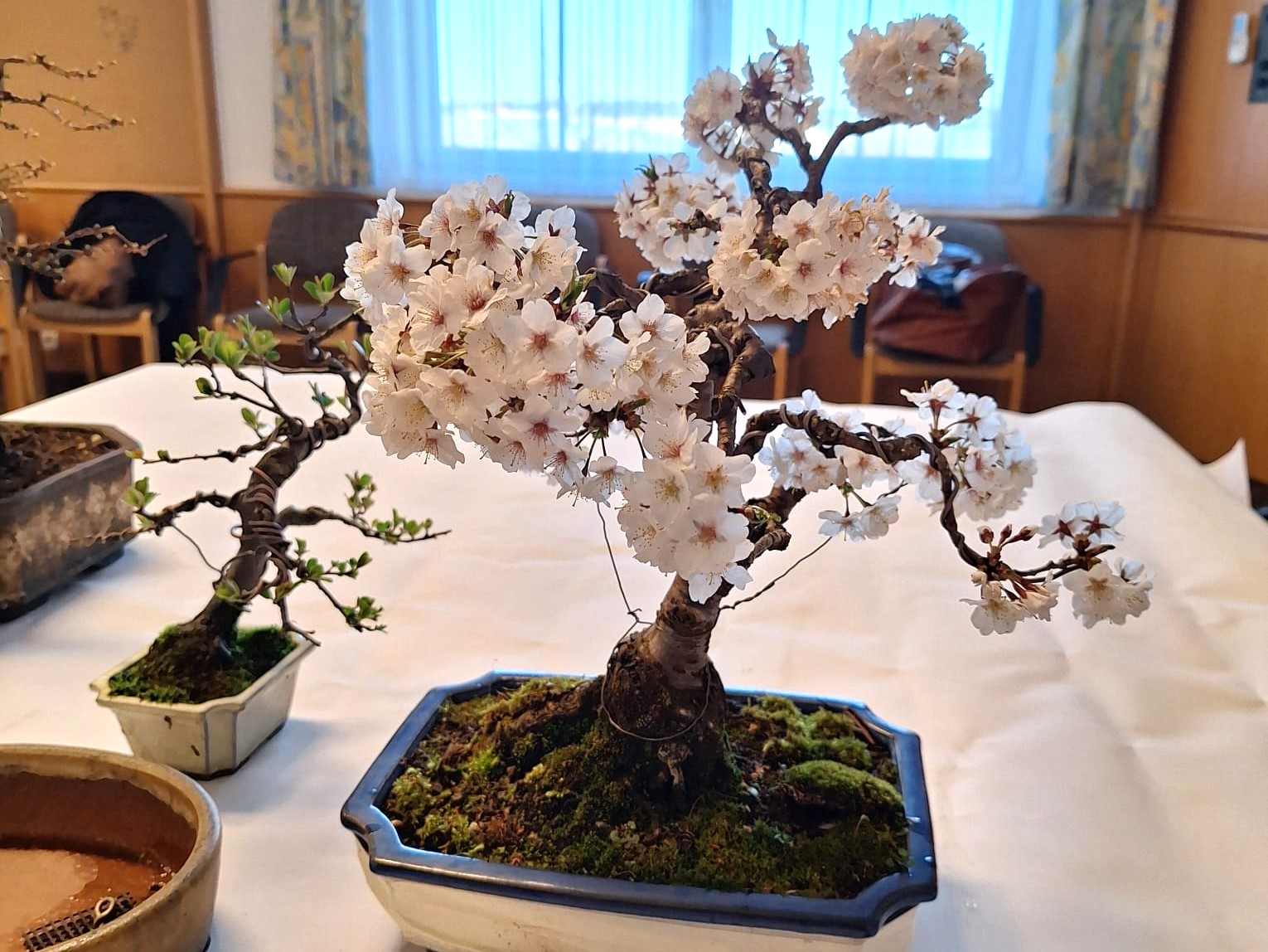 IMG-20250405-WA0033