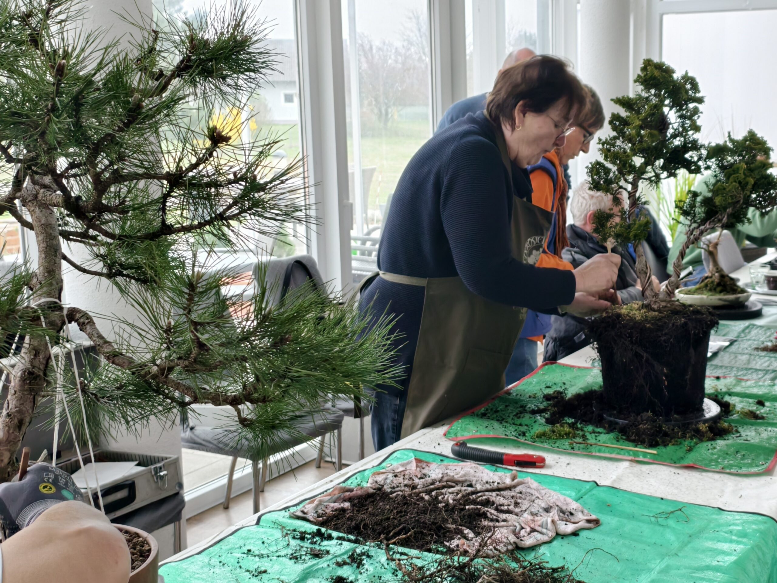 ???????????????????????????????????????????????????????????????????????????????????????????????????????????????????????????????????????????????????????????????????????????????????????????????????????????????????????????????????????????????????????????????????????????????????????????????????????????????????????????????????????????????????????????????????????????????????????????????????????????????????????????????????????????????????????????????????????????????????????????