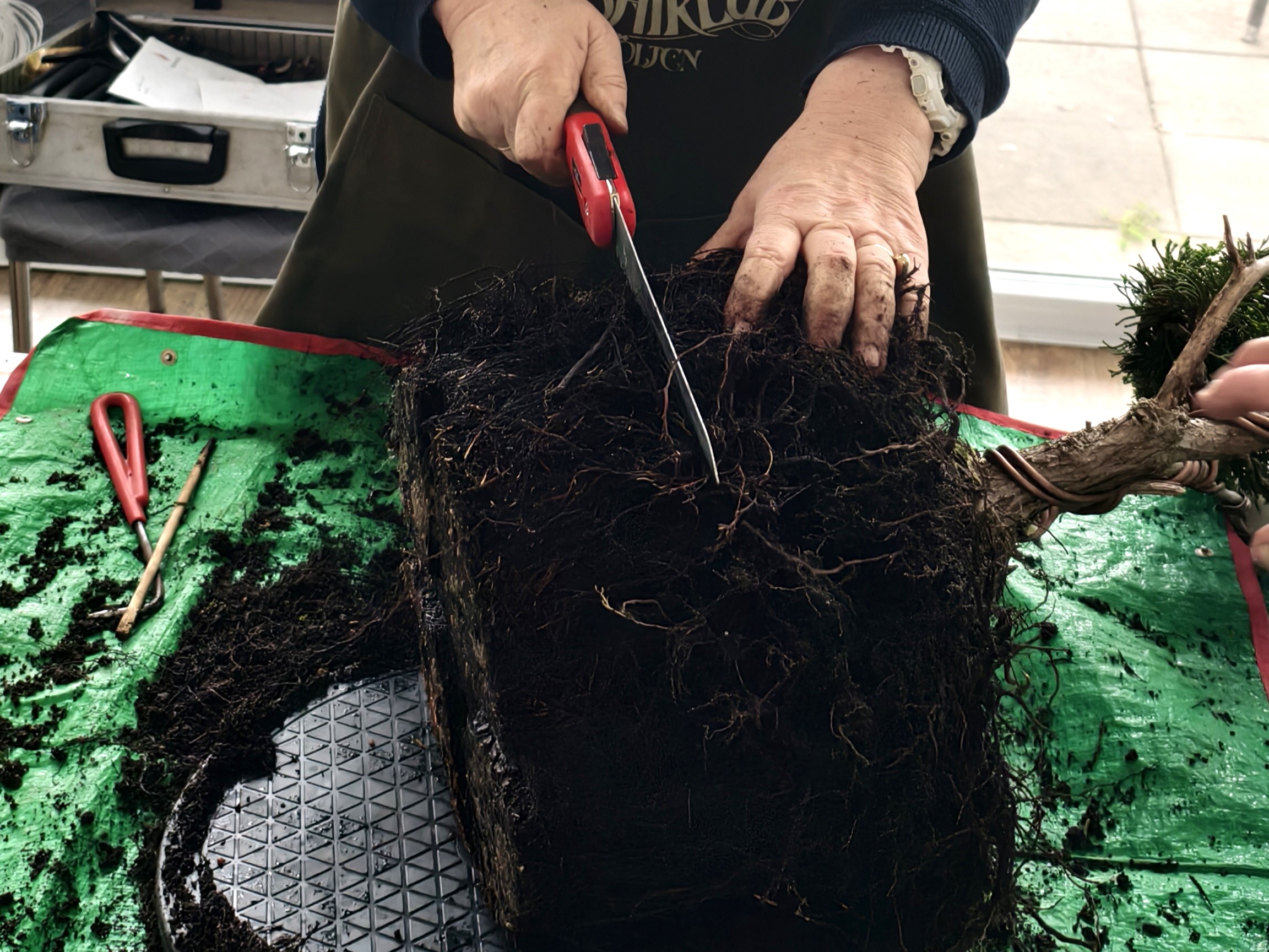 ??????????????????????????????????????????????????????????????????????????????????????????????????????????????????????????????????????????????????????????????????????????????????????????????????????????????????????????????????????????????????????????????????????????????????????????????????????????????????????????????????????????????????????????????????????????????????????????????????????????????????????????????????????????????????????????????????????????????????????????