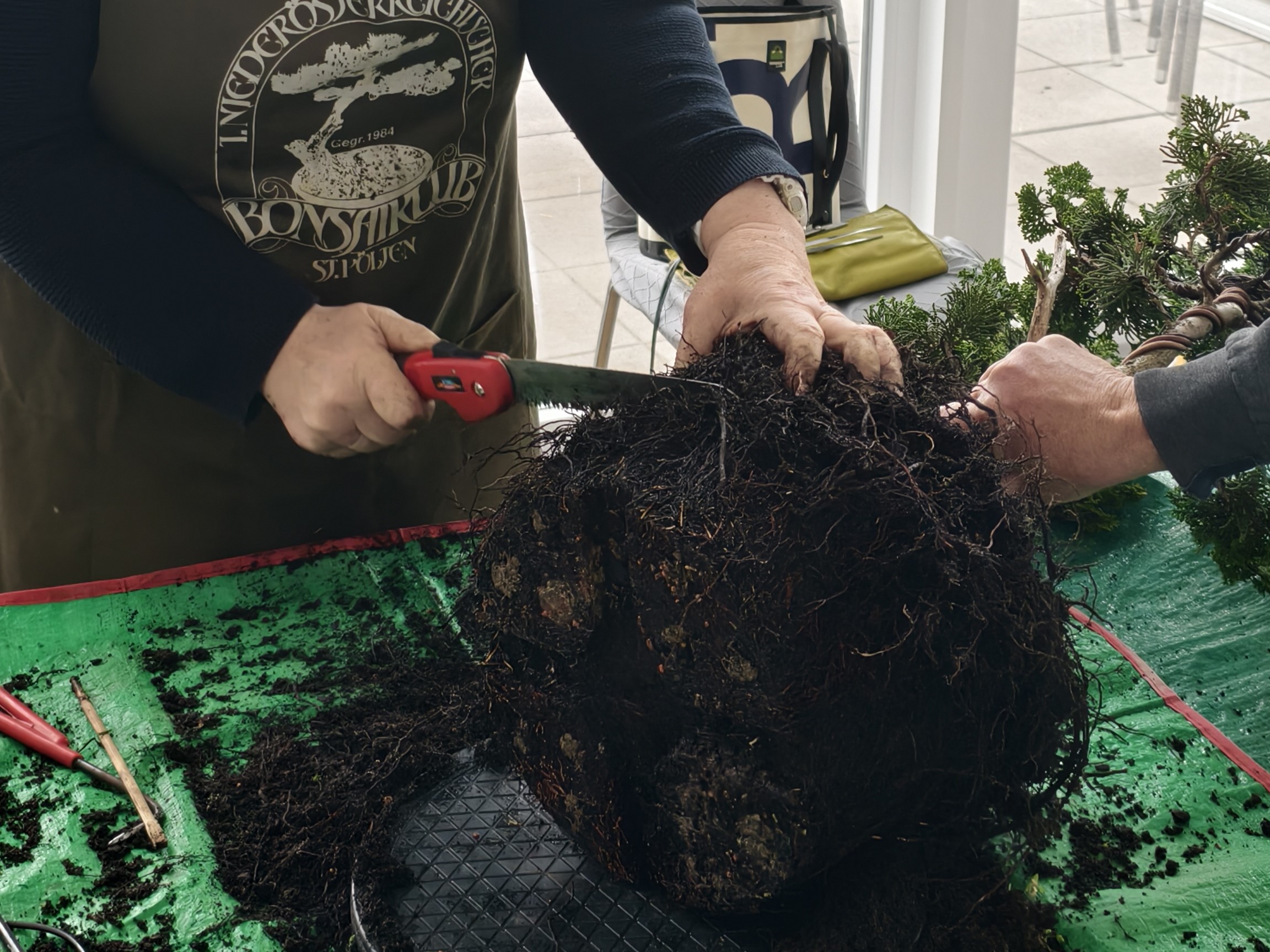 ?????????????????????????????????????????????????????????????????????????????????????????????????????????????????????????????????????????????????????????????????????????????????????????????????????????????????????????????????????????????????????????????????????????????????????????????????????????????????????????????????????????????????????????????????????????????????????????????????????????????????????????????????????????????????????????????????????????????????????????