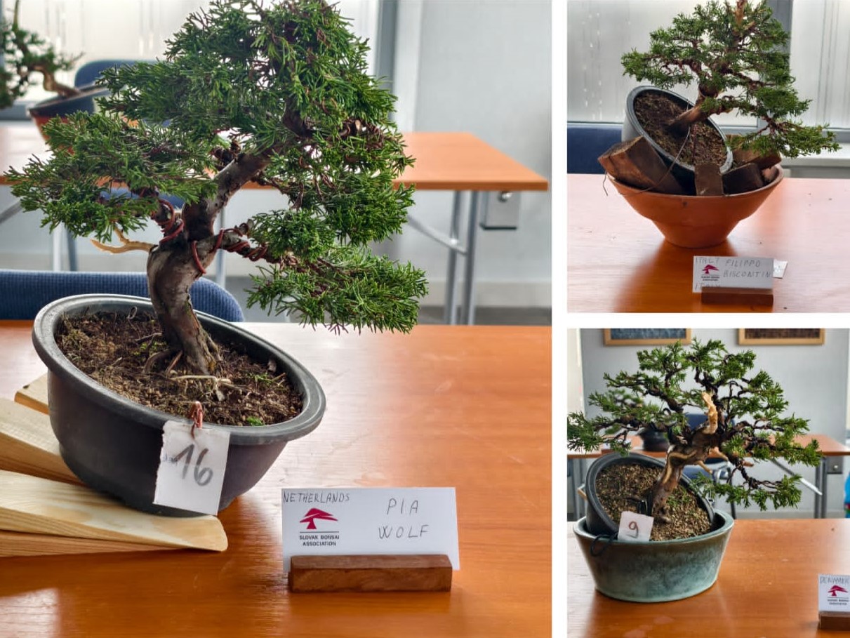 EBA Banska Bistrica 2026 (11)