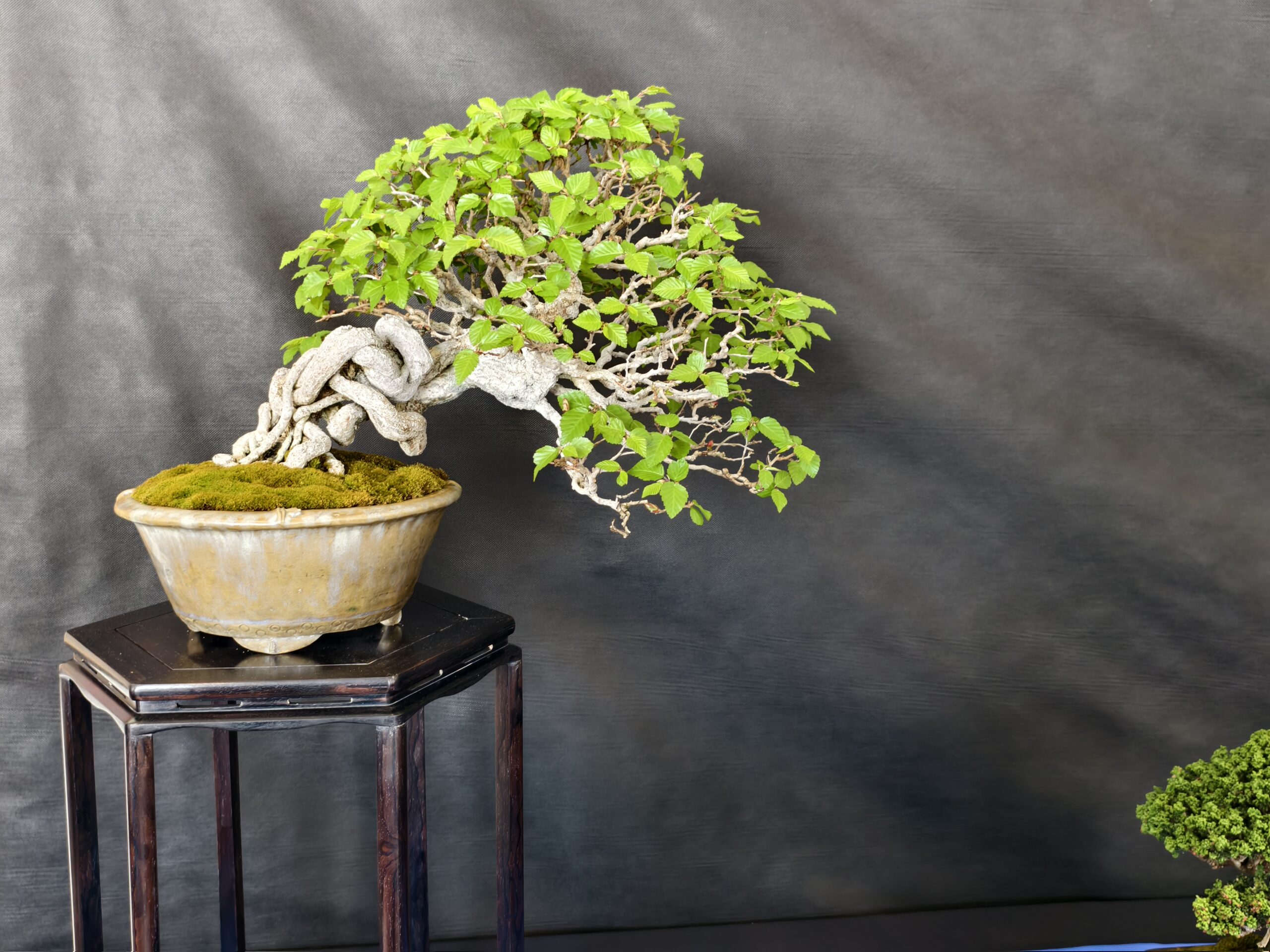 format: 0; filter: 0; fileterIntensity: 0.0; filterMask: 0; captureOrientation: 0;
runfunc: 0; algolist: 0;
multi-frame: 1;
brp_mask:0;
brp_del_th:0.0000,0.0000;
brp_del_sen:0.0000,0.0000;
motionR: 0;
delta:1;
bokeh:1;
module: photo;hw-remosaic: false;touch: (-1.0, -1.0);sceneMode: 13107200;cct_value: 0;AI_Scene: (-1, -1);aec_lux: 303.0;aec_lux_index: 0;albedo:  ;confidence:  ;motionLevel: 0;weatherinfo: weather??berwiegend klar, icon:0, weatherInfo:100;temperature: 32;