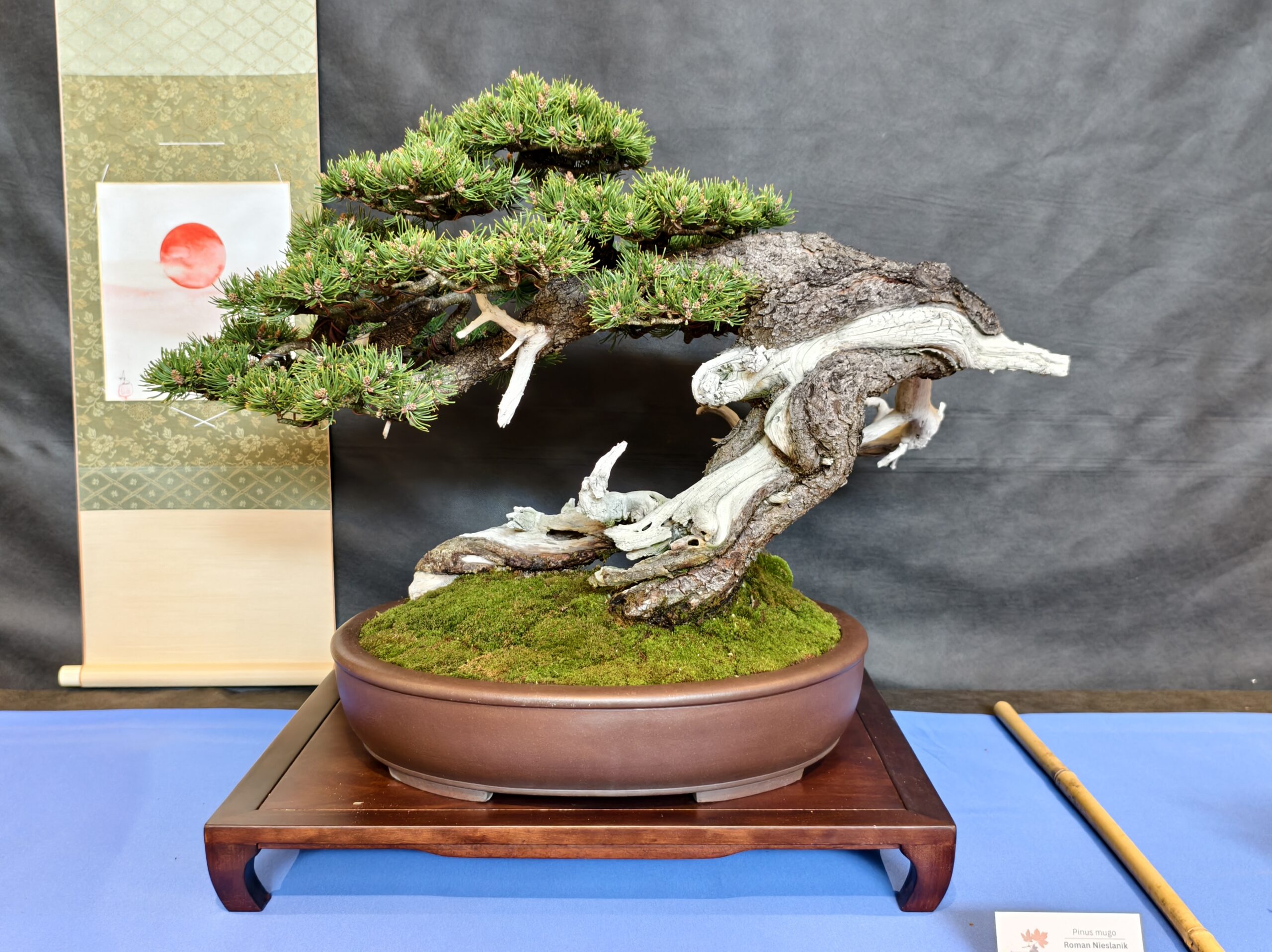 format: 0; filter: 0; fileterIntensity: 0.0; filterMask: 0; captureOrientation: 0;
runfunc: 0; algolist: 0;
multi-frame: 1;
brp_mask:0;
brp_del_th:0.0000,0.0000;
brp_del_sen:0.0000,0.0000;
motionR: 0;
delta:1;
bokeh:1;
module: photo;hw-remosaic: false;touch: (0.6942065, 0.53630954);sceneMode: 13107200;cct_value: 0;AI_Scene: (-1, -1);aec_lux: 289.0;aec_lux_index: 0;albedo:  ;confidence:  ;motionLevel: 0;weatherinfo: weather??berwiegend klar, icon:0, weatherInfo:100;temperature: 32;