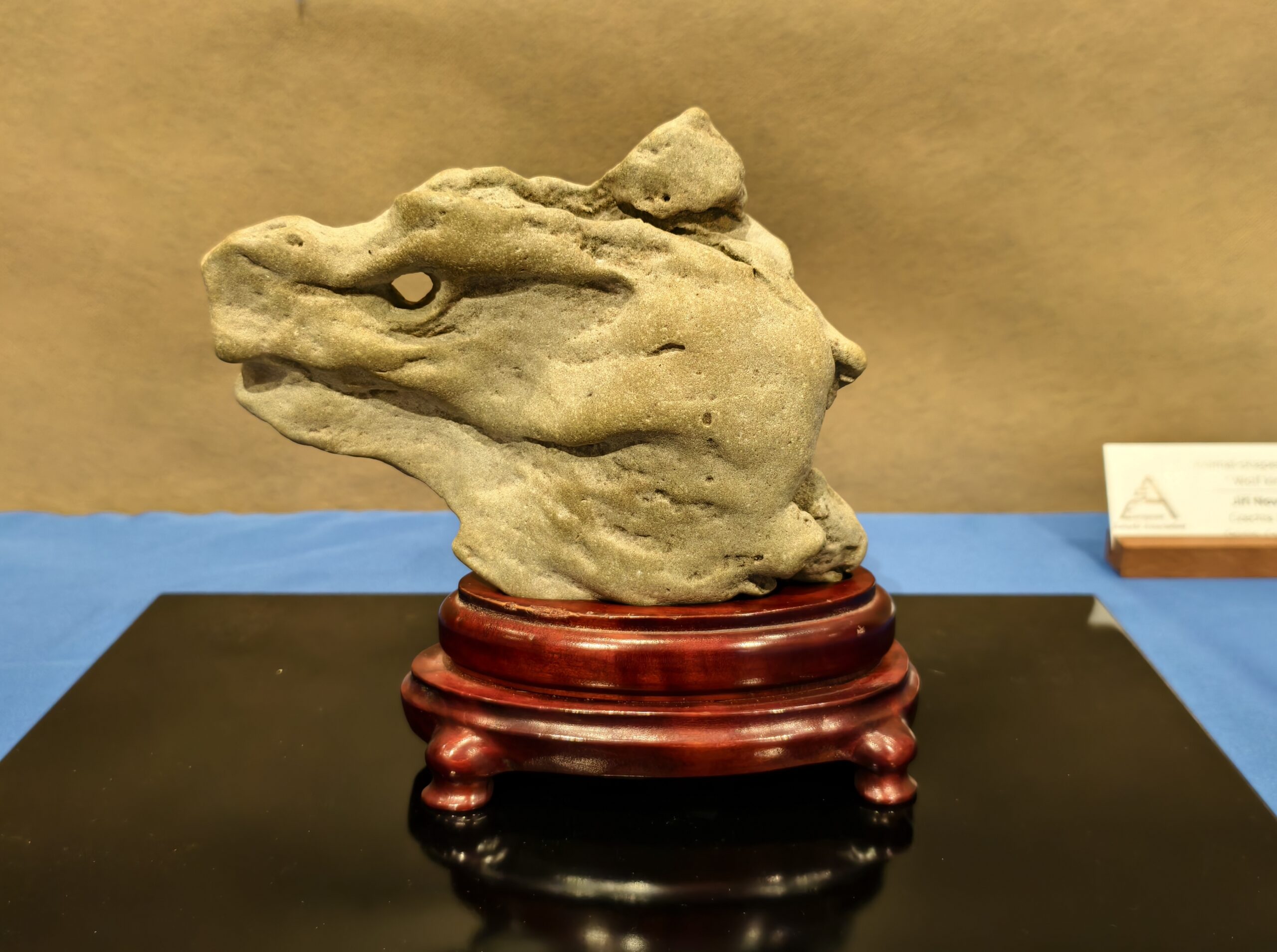 format: 0; filter: 0; fileterIntensity: 0.0; filterMask: 0; captureOrientation: 0;
runfunc: 0; algolist: 0;
multi-frame: 1;
brp_mask:0;
brp_del_th:0.0000,0.0000;
brp_del_sen:0.0000,0.0000;
motionR: 0;
delta:1;
bokeh:1;
module: photo;hw-remosaic: false;touch: (0.59952414, 0.58101165);sceneMode: 12582912;cct_value: 0;AI_Scene: (-1, -1);aec_lux: 307.0;aec_lux_index: 0;albedo:  ;confidence:  ;motionLevel: 0;weatherinfo: weather??berwiegend klar, icon:0, weatherInfo:100;temperature: 38;