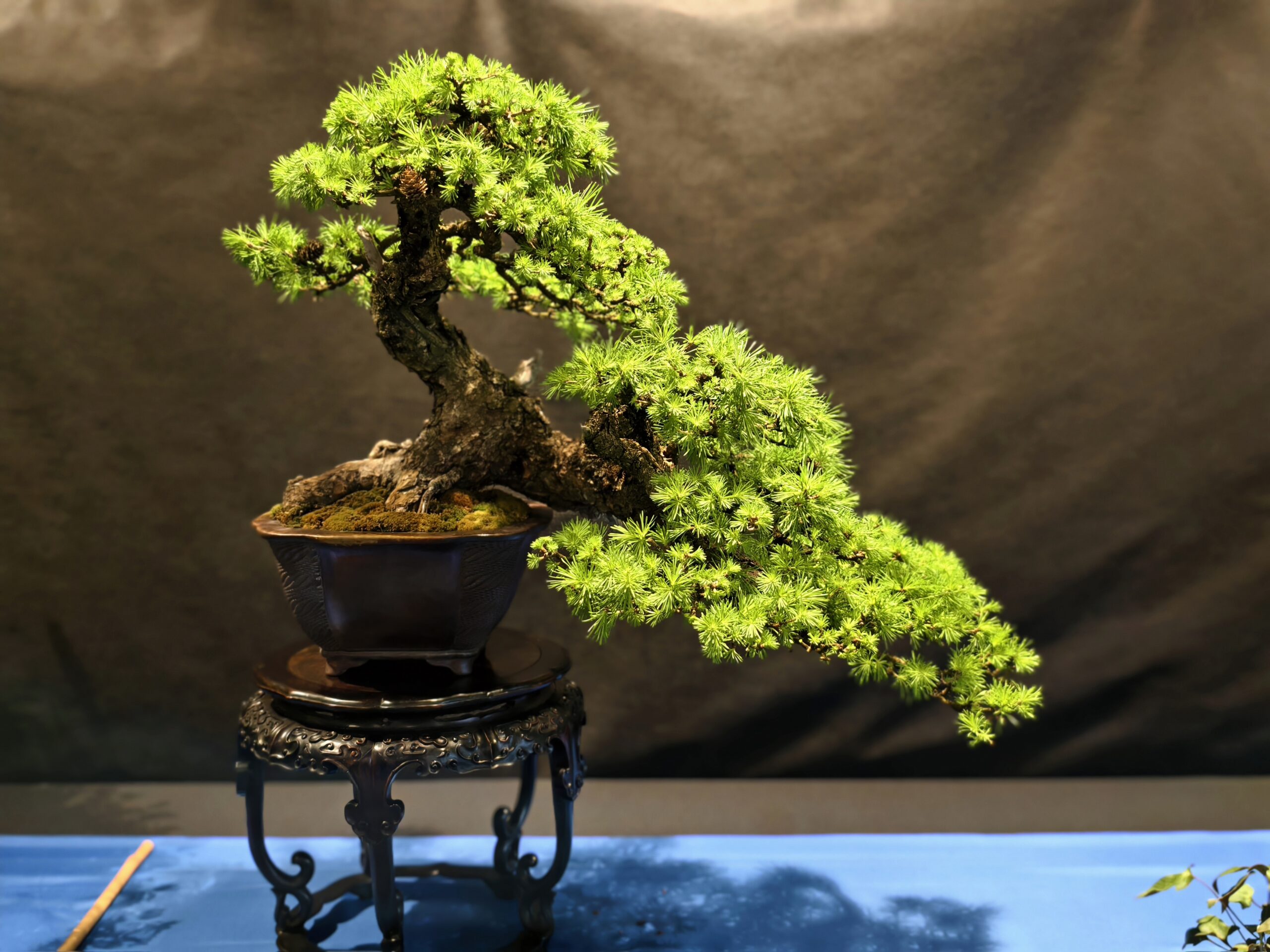 format: 0; filter: null; fileterIntensity: null; filterMask: null; captureOrientation: 0;
runfunc: 0; algolist: 0;
multi-frame: 1;
brp_mask:0;
brp_del_th:0.0000,0.0000;
brp_del_sen:0.0000,0.0000;
motionR: 0;
delta:1;
bokeh:1;
module: portrait;hw-remosaic: false;touch: (0.52015907, 0.541905);sceneMode: 13107200;cct_value: 0;AI_Scene: (-1, -1);aec_lux: 290.0;aec_lux_index: 0;albedo:  ;confidence:  ;motionLevel: 3;weatherinfo: weather??berwiegend klar, icon:0, weatherInfo:100;temperature: 39;zeissColor: bright;