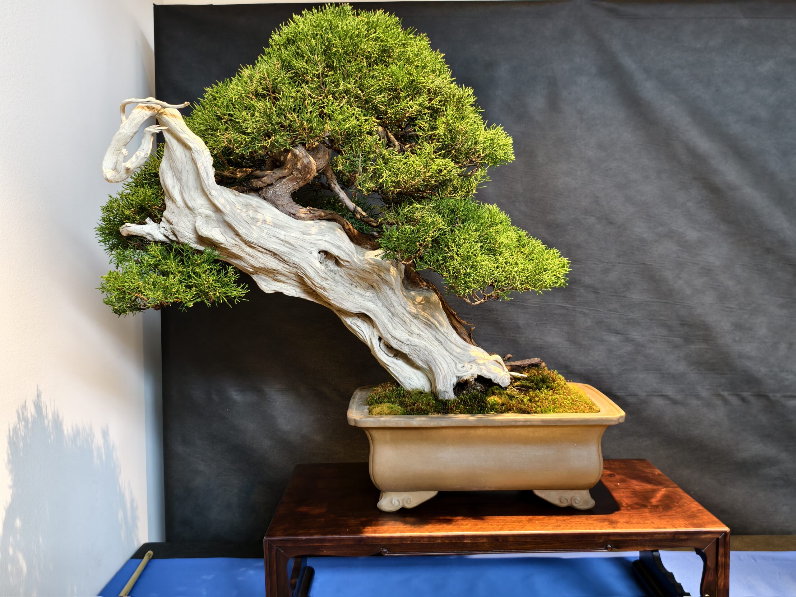 format: 0; filter: 0; fileterIntensity: 0.0; filterMask: 0; captureOrientation: 0;
runfunc: 0; algolist: 0;
multi-frame: 1;
brp_mask:0;
brp_del_th:0.0000,0.0000;
brp_del_sen:0.0000,0.0000;
motionR: 0;
delta:1;
bokeh:1;
module: photo;hw-remosaic: false;touch: (-1.0, -1.0);sceneMode: 13107200;cct_value: 0;AI_Scene: (17, 0);aec_lux: 294.0;aec_lux_index: 0;albedo:  ;confidence:  ;motionLevel: 0;weatherinfo: weather??berwiegend klar, icon:0, weatherInfo:100;temperature: 32;