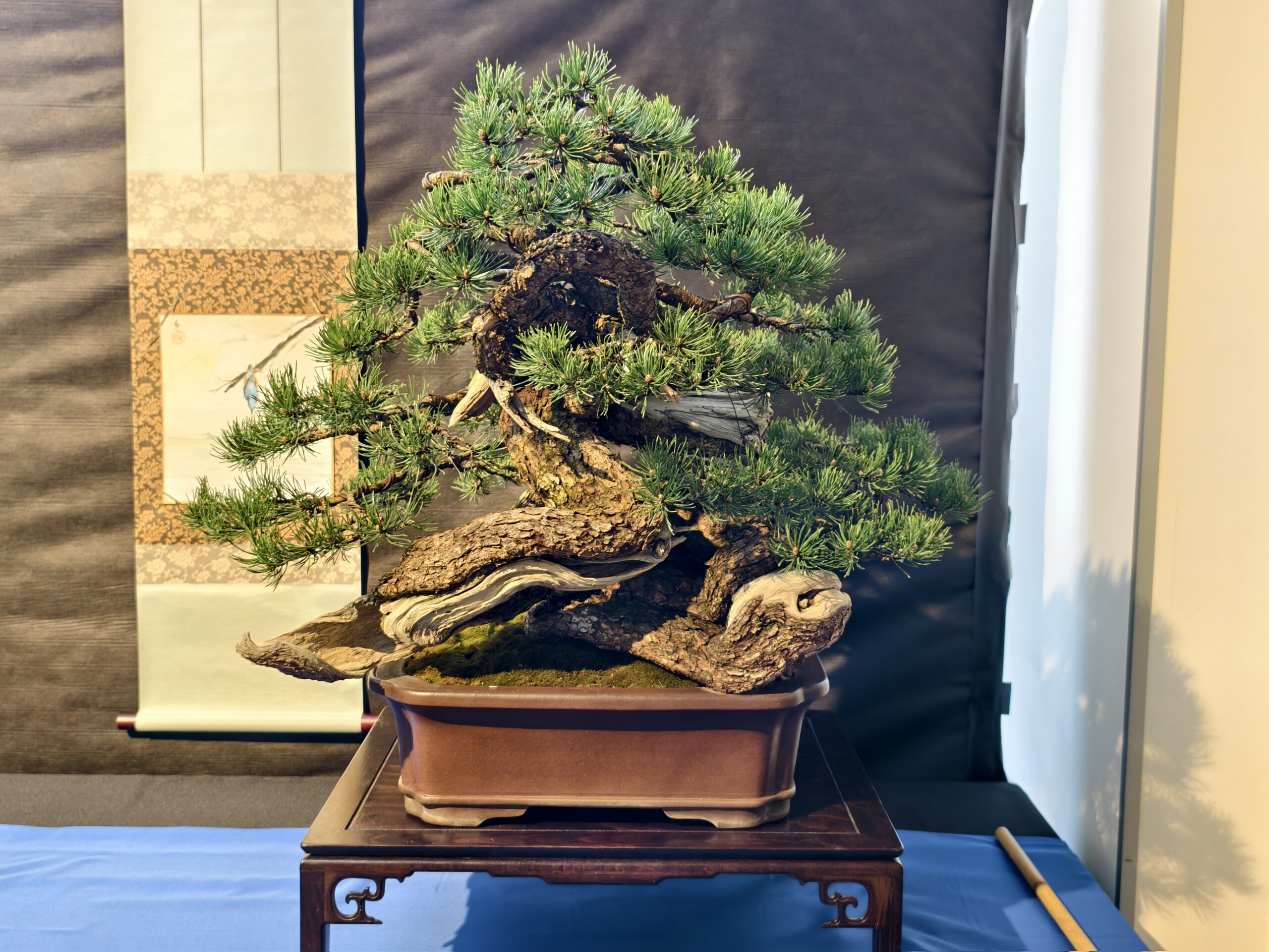 format: 0; filter: 0; fileterIntensity: 0.0; filterMask: 0; captureOrientation: 0;
runfunc: 0; algolist: 0;
multi-frame: 1;
brp_mask:0;
brp_del_th:0.0000,0.0000;
brp_del_sen:0.0000,0.0000;
motionR: 0;
delta:1;
bokeh:1;
module: photo;hw-remosaic: false;touch: (0.6452381, 0.5407738);sceneMode: 13107200;cct_value: 0;AI_Scene: (-1, -1);aec_lux: 285.0;aec_lux_index: 0;albedo:  ;confidence:  ;motionLevel: 0;weatherinfo: weather??berwiegend klar, icon:0, weatherInfo:100;temperature: 32;