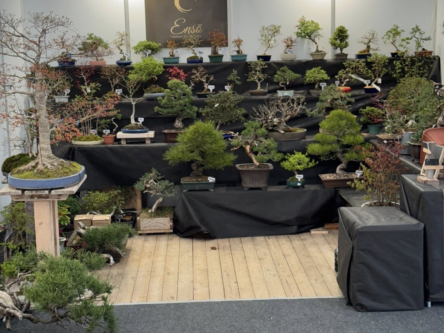 EBA Banska Bistrica 2026 (2)