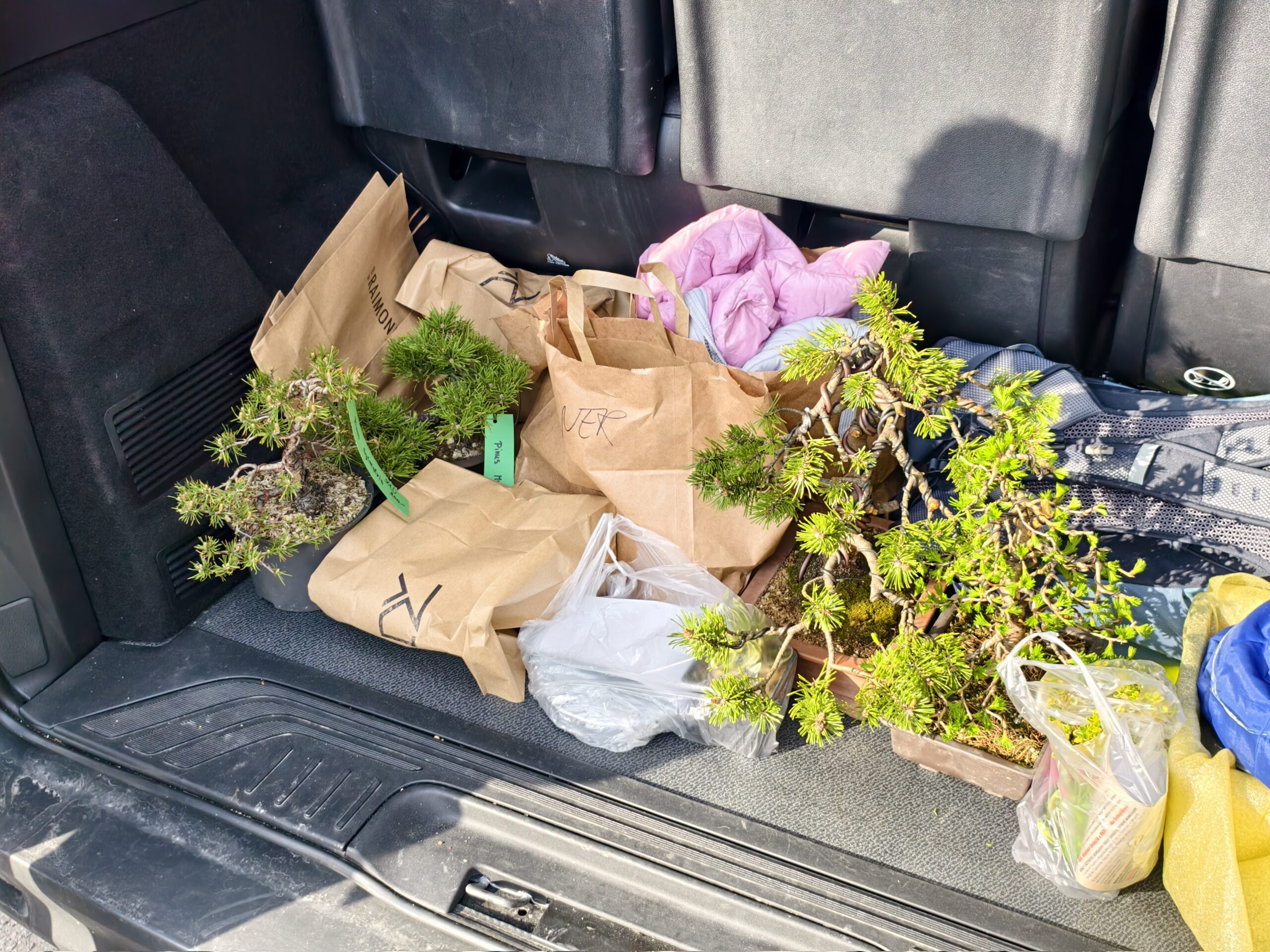 format: 0; filter: 0; fileterIntensity: 0.0; filterMask: 0; captureOrientation: 0;
runfunc: 0; algolist: 0;
multi-frame: 1;
brp_mask:0;
brp_del_th:0.0000,0.0000;
brp_del_sen:0.0000,0.0000;
motionR: 0;
delta:1;
bokeh:1;
module: photo;hw-remosaic: false;touch: (-1.0, -1.0);sceneMode: 13107200;cct_value: 0;AI_Scene: (-1, -1);aec_lux: 166.0;aec_lux_index: 0;albedo:  ;confidence:  ;motionLevel: -1;weatherinfo: weather?Schauer, icon:5, weatherInfo:100;temperature: 26;