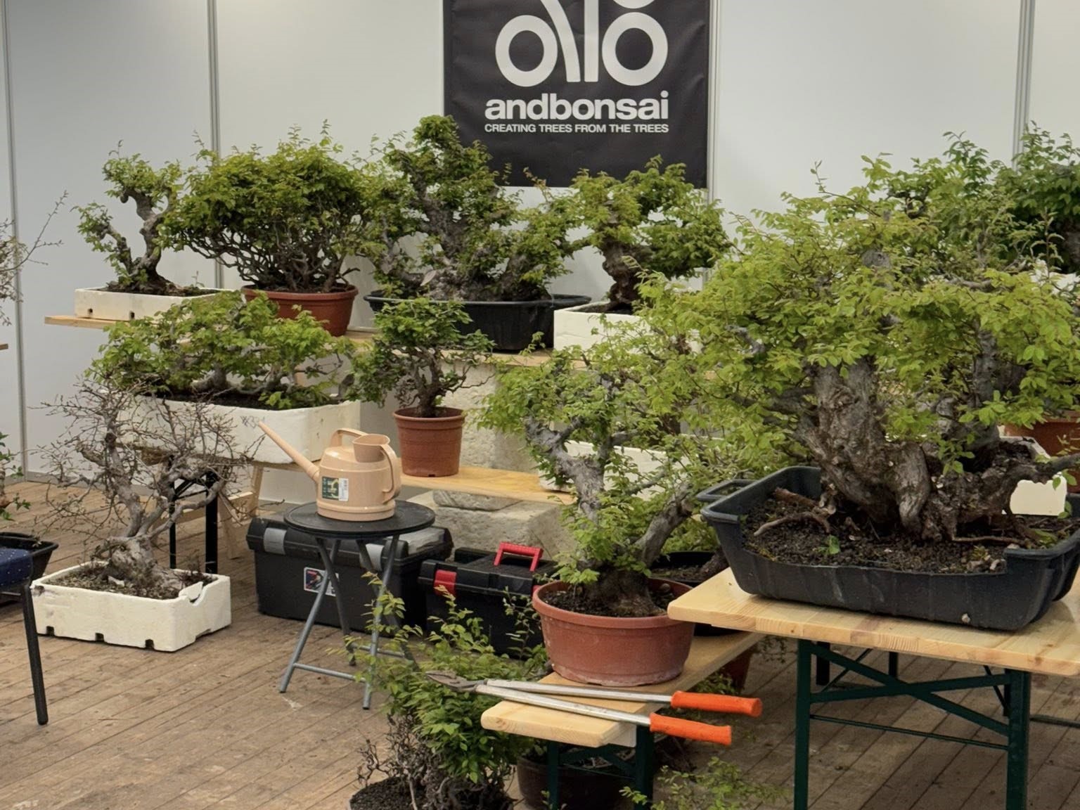 EBA Banska Bistrica 2026 (4)