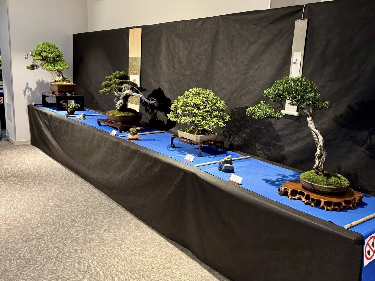 EBA Banska Bistrica 2026 (5)