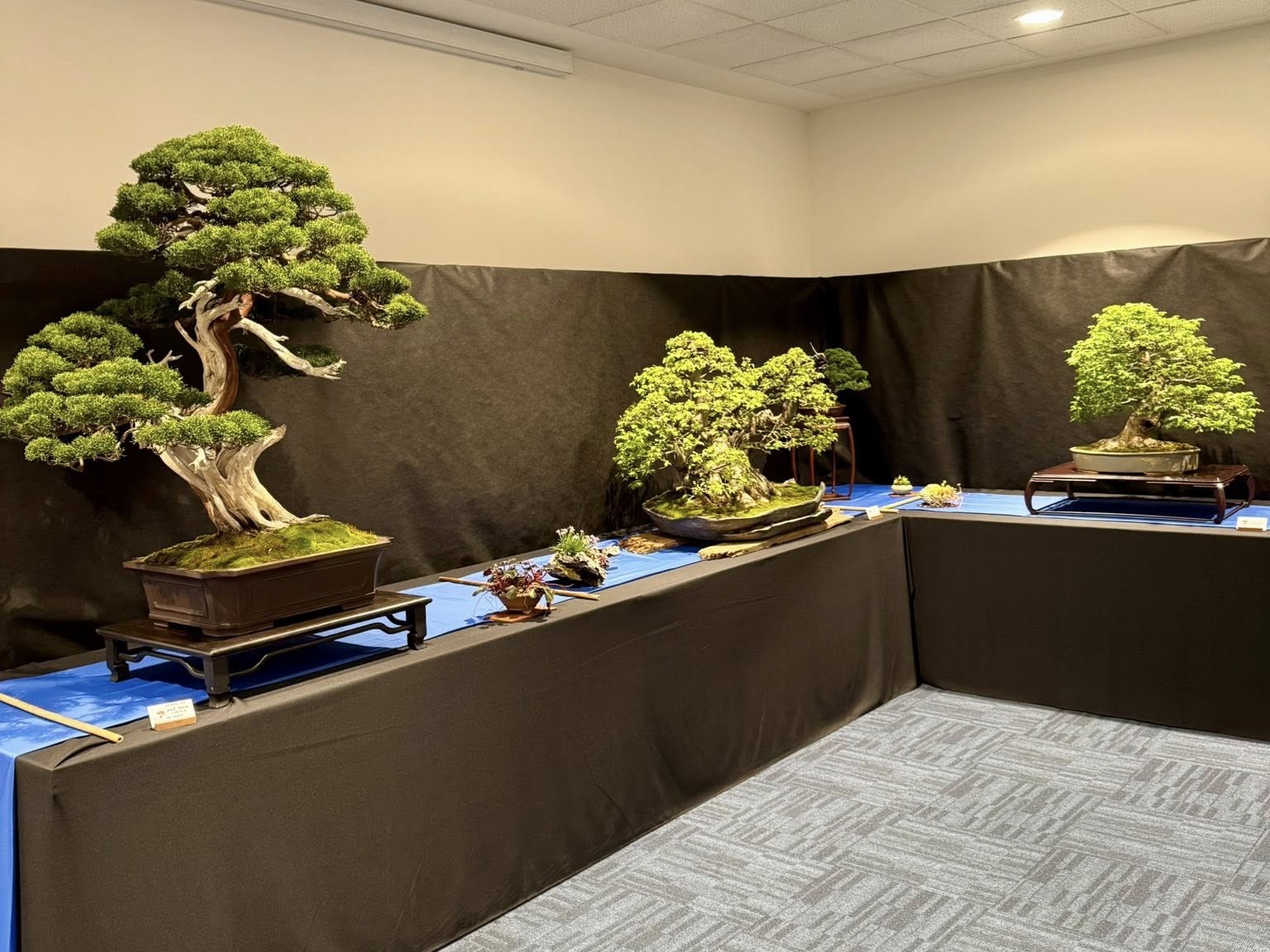 EBA Banska Bistrica 2026 (6)