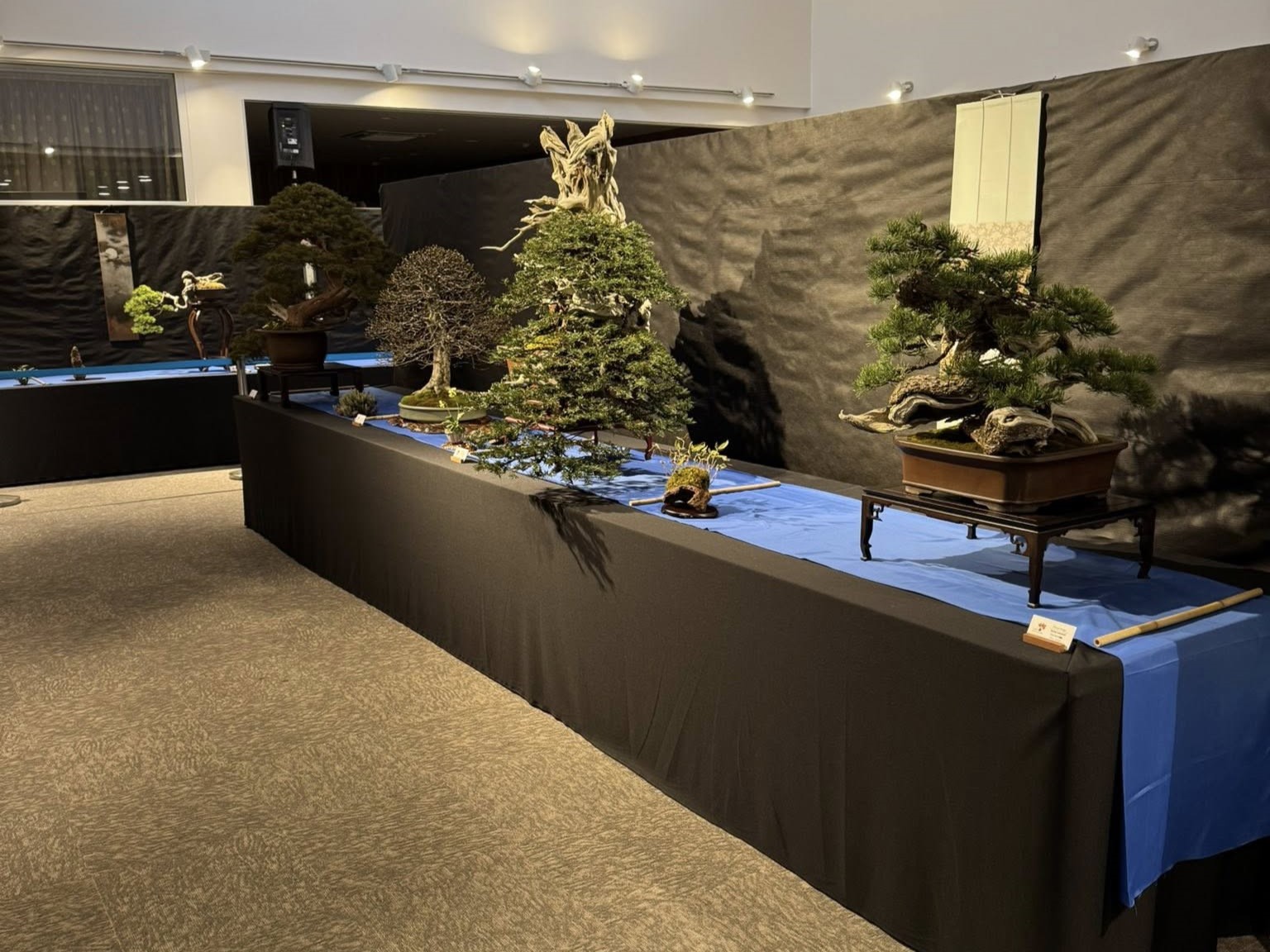 EBA Banska Bistrica 2026 (7)