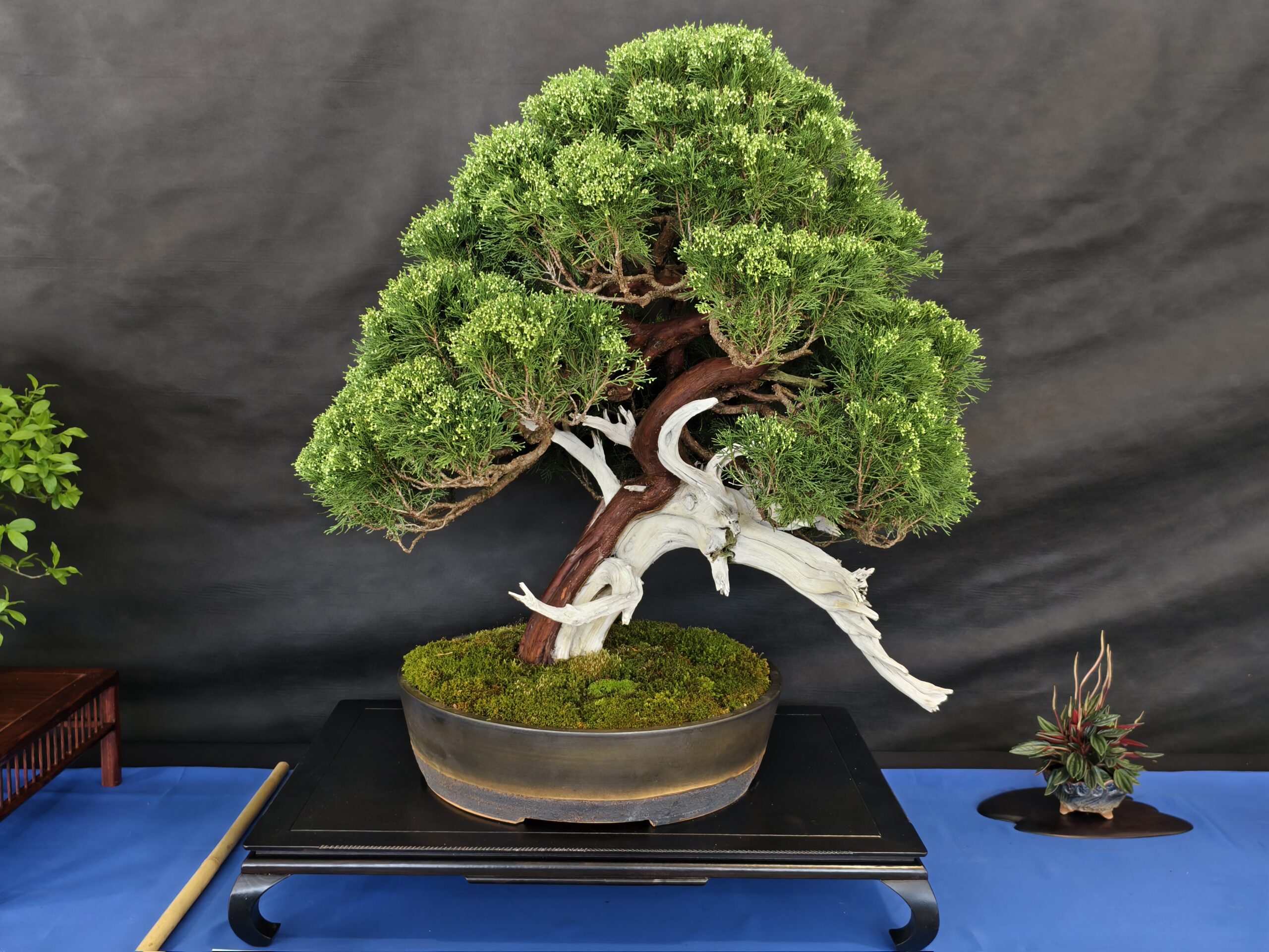 format: 0; filter: 0; fileterIntensity: 0.0; filterMask: 0; captureOrientation: 0;
runfunc: 0; algolist: 0;
multi-frame: 1;
brp_mask:0;
brp_del_th:0.0000,0.0000;
brp_del_sen:0.0000,0.0000;
motionR: 0;
delta:1;
bokeh:1;
module: photo;hw-remosaic: false;touch: (-1.0, -1.0);sceneMode: 13107200;cct_value: 0;AI_Scene: (-1, -1);aec_lux: 304.0;aec_lux_index: 0;albedo:  ;confidence:  ;motionLevel: 0;weatherinfo: weather??berwiegend klar, icon:0, weatherInfo:100;temperature: 32;