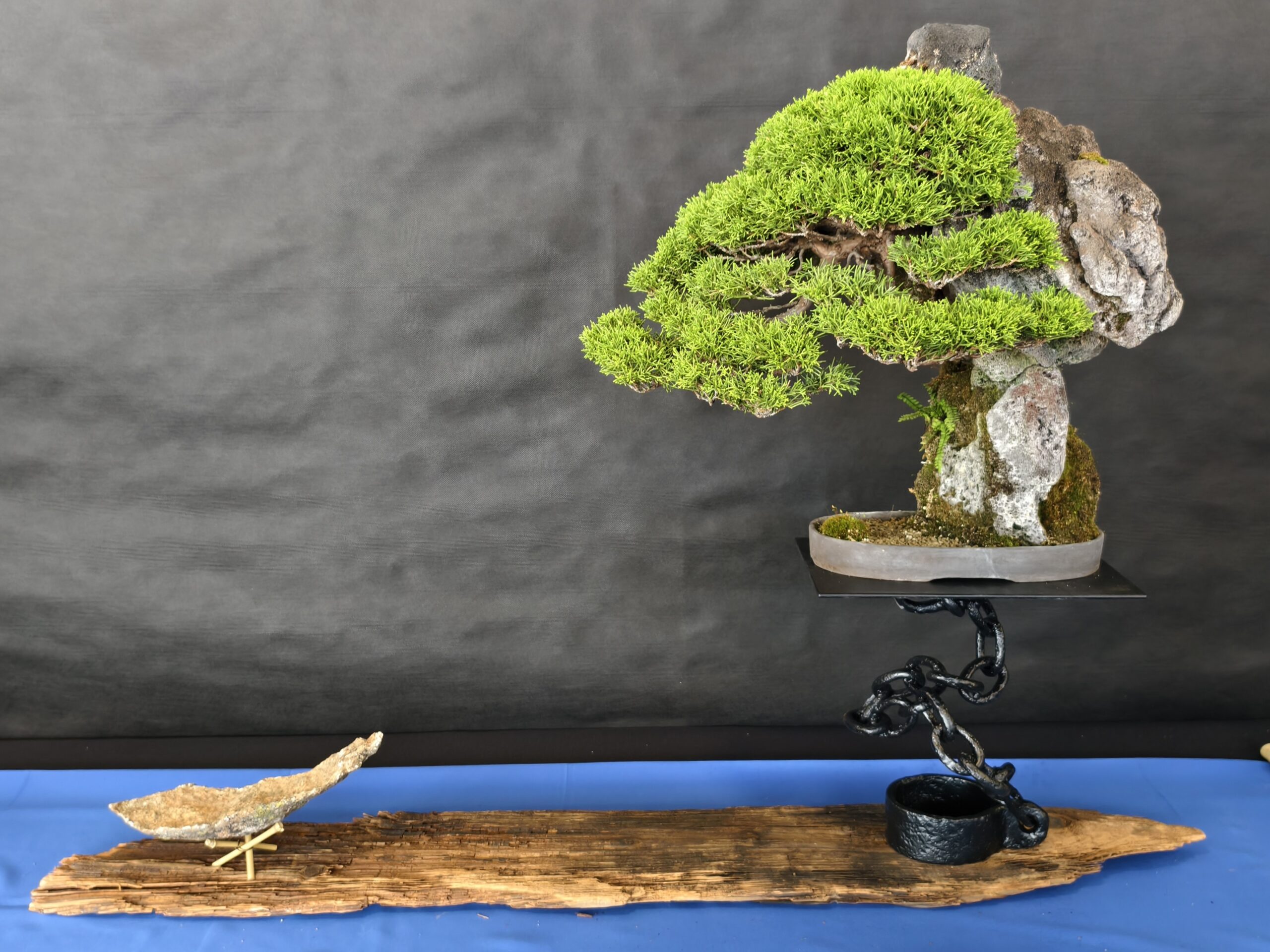 ??????????????????????????????????????????????????????????????????????????????????????????????????????????????????????????????????????????????????????????????????????????????????????????????????????????????????????????????????????????????????????????????????????????????????????????????????????????????????????????????????????????????????????????????????????????????????????????????????????????????????????????????????????????????????????????????????????????????????????????