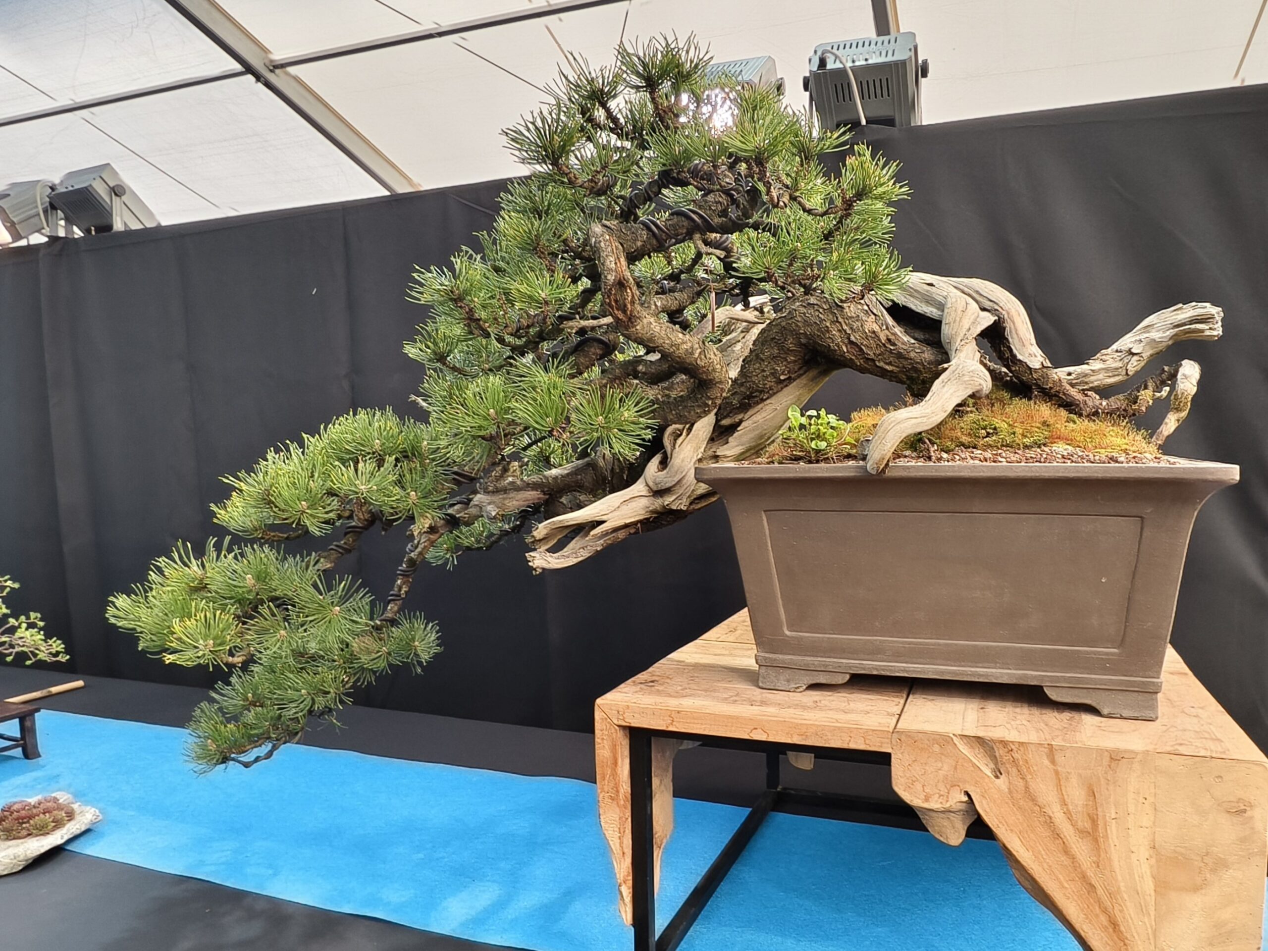 ???????????????????????????????????????????????????????????????????????????????????????????????????????????????????????????????????????????????????????????????????????????????????????????????????????????????????????????????????????????????????????????????????????????????????????????????????????????????????????????????????????????????????????????????????????????????????????????????????????????????????????????????????????????????????????????????????????????????????????????????????